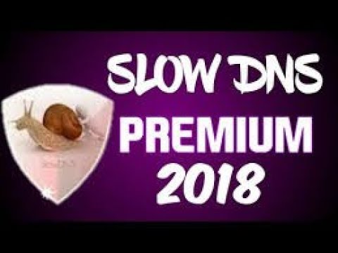 TÉLÉCHARGER SLOWDNS 2.4.6 APK